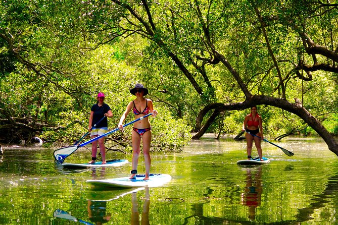 Byron Stand Up Paddle Nature Tour - Starting near Brunswick Heads with a land lesson