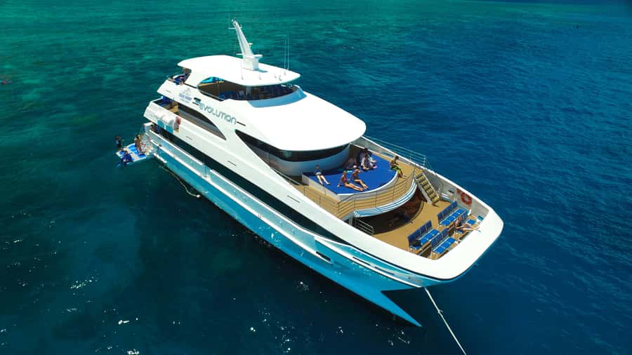 Cairns: 2-Day Great Barrier Reef & Daintree Rainforest Tour - Two very different days, one useful Cairns package