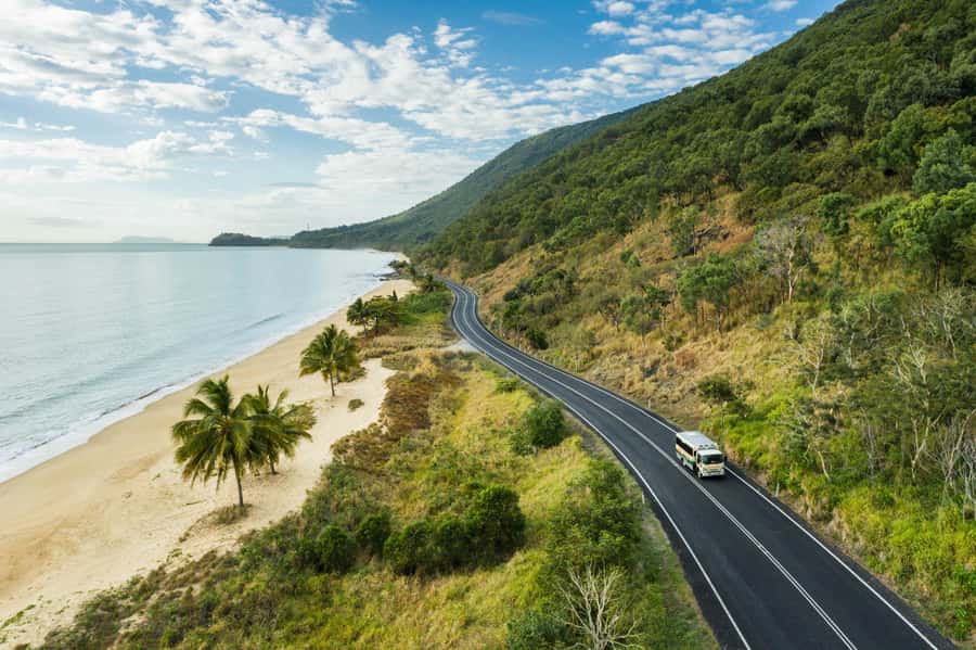 Cairns: 2-Day Great Barrier Reef & Daintree Rainforest Tour - The Daintree River is the first real wildlife moment