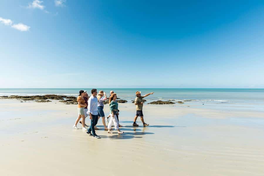 Cairns: 2-Day Great Barrier Reef & Daintree Rainforest Tour - A short rainforest walk, not a full wilderness hike
