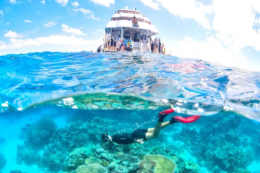Cairns: 2-Day Great Barrier Reef & Daintree Rainforest Tour - How the two days compare