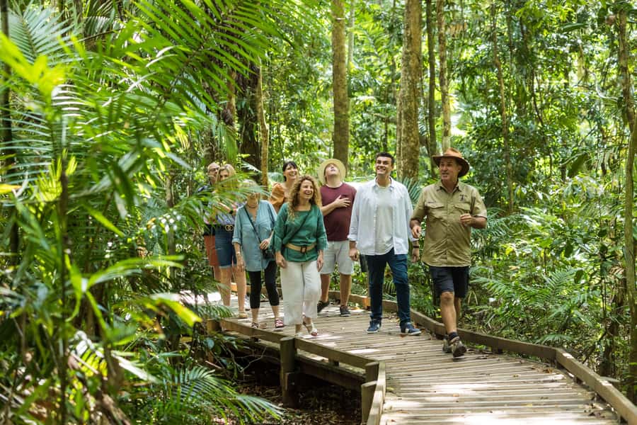 Cairns: 2-Day Great Barrier Reef & Daintree Rainforest Tour - Day one begins with a long road into the Daintree