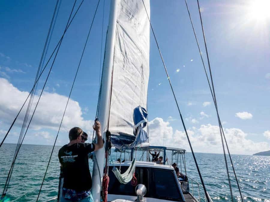 Cairns: 2-Day Great Barrier Reef Dive and Snorkel Boat Trip - Key points to know before booking