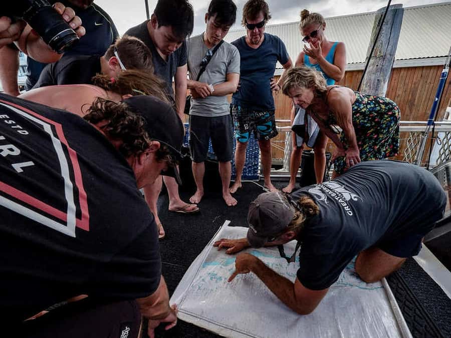 Cairns: 2-Day Great Barrier Reef Dive and Snorkel Boat Trip - What your first day looks like
