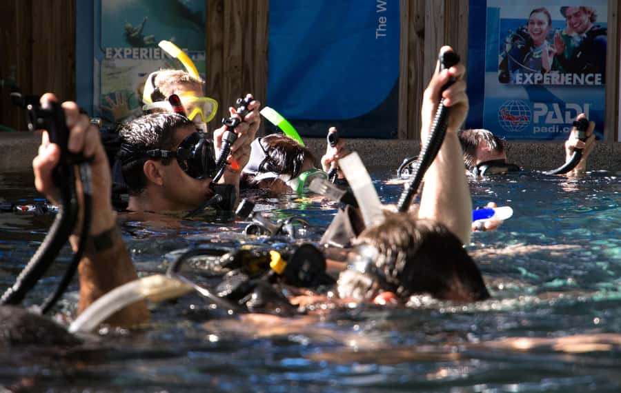 Cairns: 4-Day PADI Open Water Course - Equipment, refreshments, and what you still need to pay for