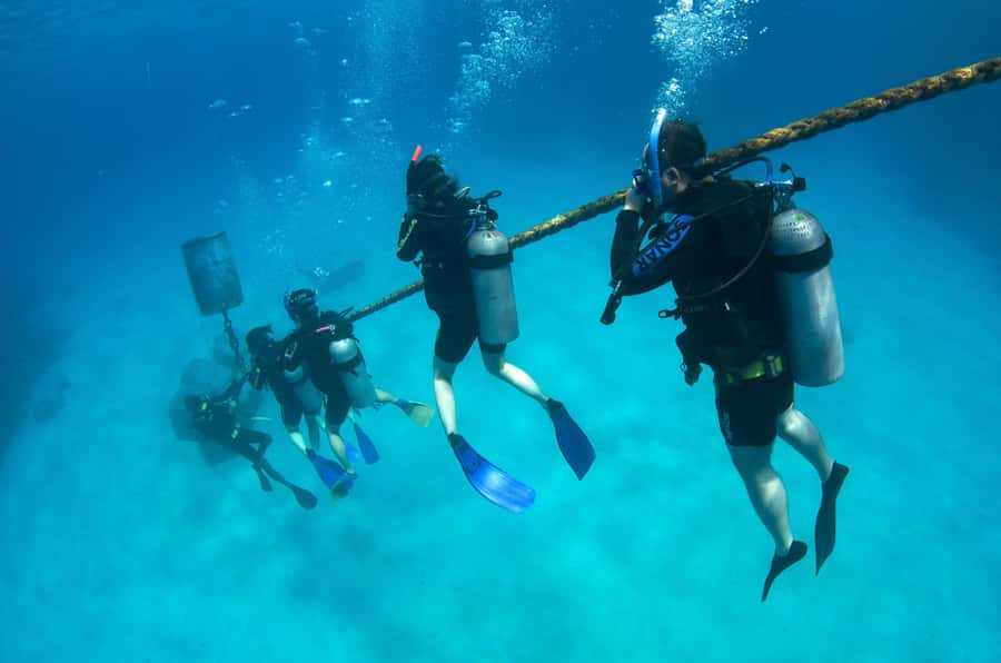 Cairns: 4-Day PADI Open Water Course - Small groups and the quality of instruction