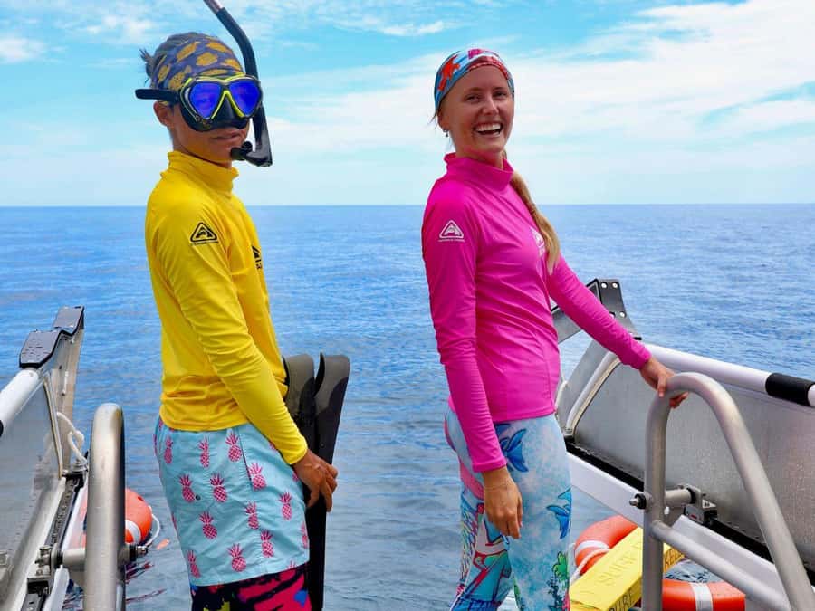 Cairns: All-Inclusive Great Barrier Reef Half-Day Snorkeling - Key points worth knowing before you book