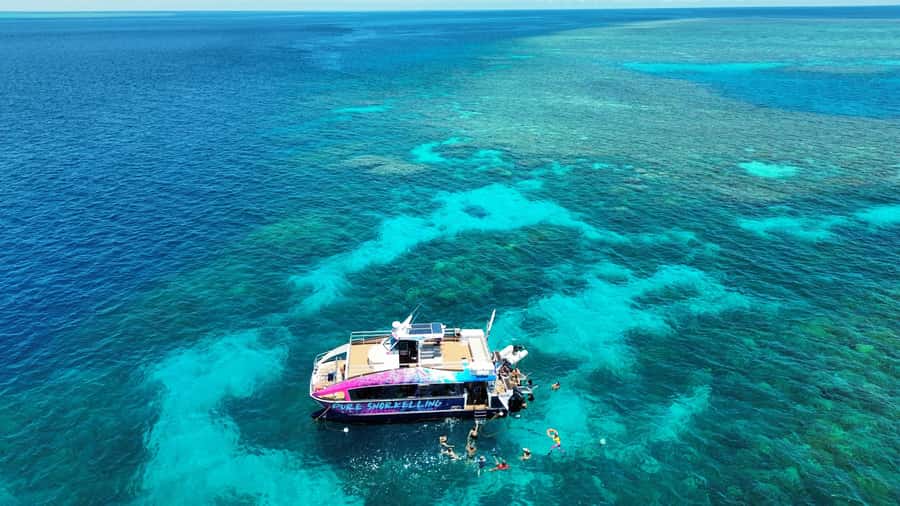 Cairns: All-Inclusive Great Barrier Reef Half-Day Snorkeling - Why the half-day format works so well from Cairns