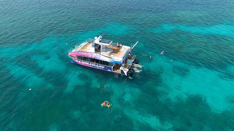 Cairns: All-Inclusive Great Barrier Reef Half-Day Snorkeling - A fast ride from Marlin Marina to the Outer Reef