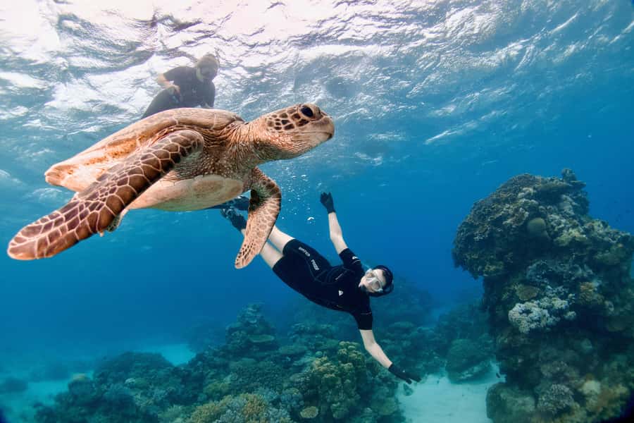 Cairns: All-Inclusive Great Barrier Reef Half-Day Snorkeling - One mooring, chosen for the day’s conditions