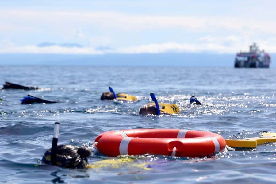Cairns: All-Inclusive Great Barrier Reef Half-Day Snorkeling - Two hours of guided reef time