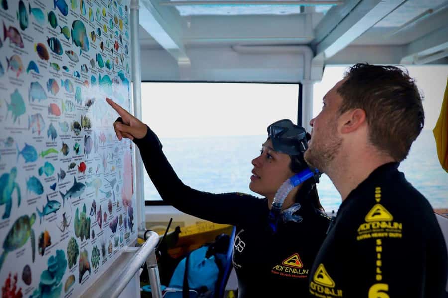 Cairns: All-Inclusive Great Barrier Reef Half-Day Snorkeling - The 10:30 AM reef presentation is worth your time