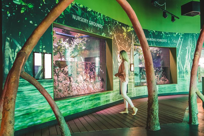 Cairns Aquarium Admission Ticket - Start with freshwater, rainforest, and the journey of rain