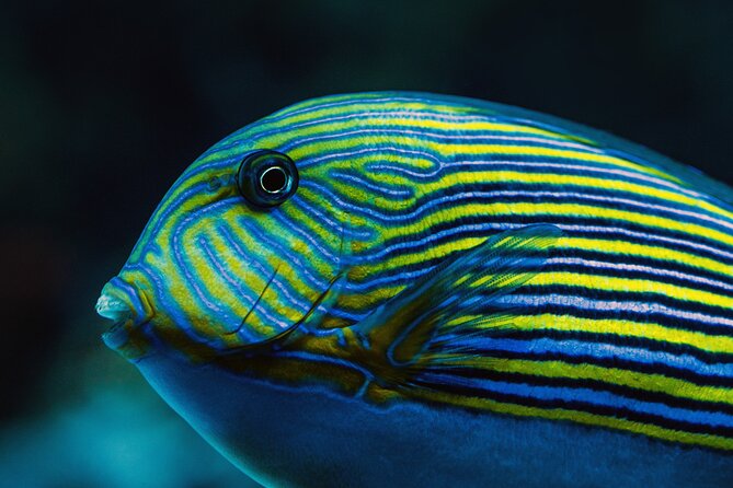 Cairns Aquarium by Twilight Tour - Is $60.97 a fair price?