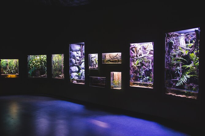 Cairns Aquarium by Twilight Tour - Who should book this Cairns experience?