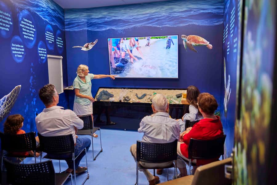 Cairns: Aquarium Entry Ticket and Turtle Rehabilitation Tour - From mangroves to freshwater habitats