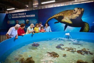 Aquarium Entry Ticket and Turtle Rehabilitation Tour