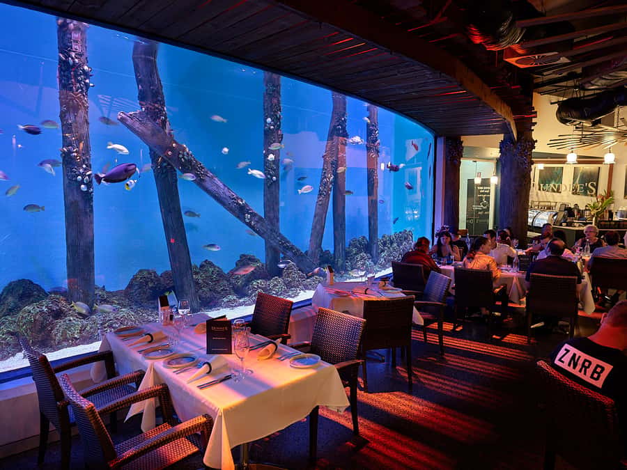 Cairns Aquarium General Admission Ticket - The 10-metre reef tank and the Coral Sea