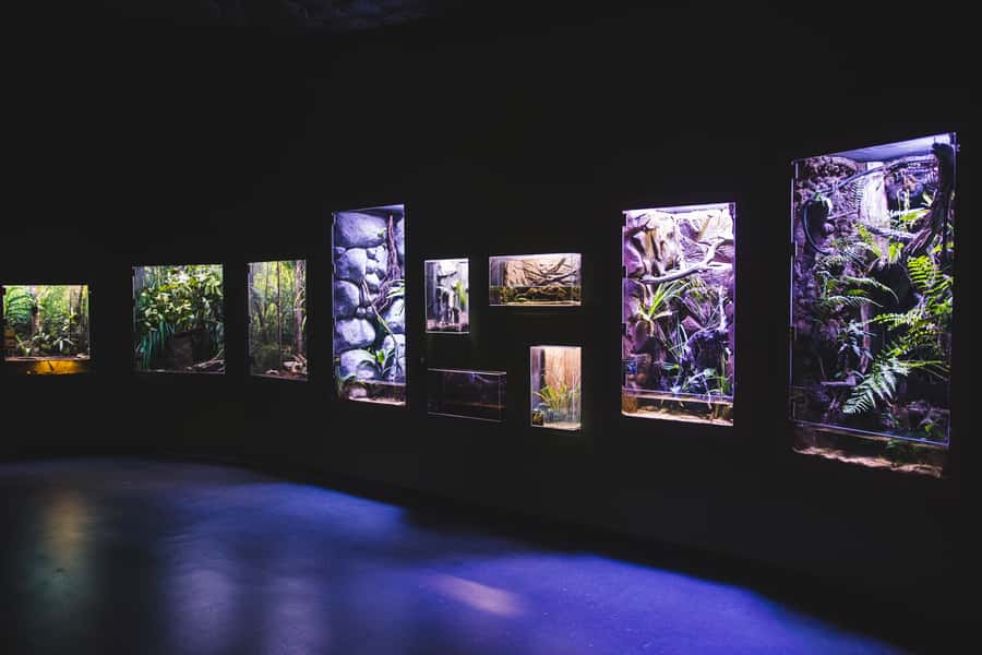 Cairns Aquarium General Admission Ticket - How long should you allow?