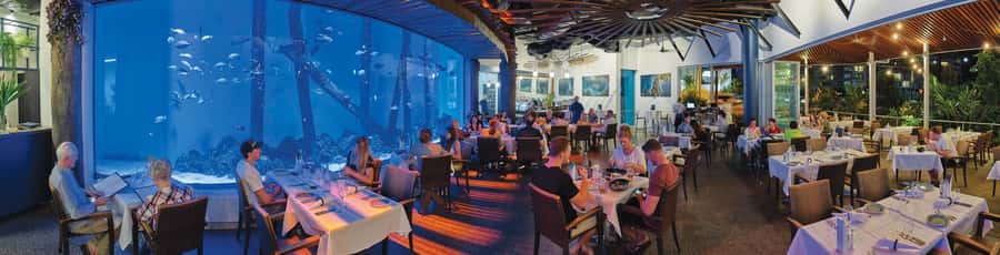 Cairns: Aquarium Guided Twilight Tour with 3-Course Dinner - Is $126 good value?