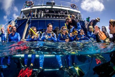 Best Value All-inclusive Reef Trip With Scuba Dive