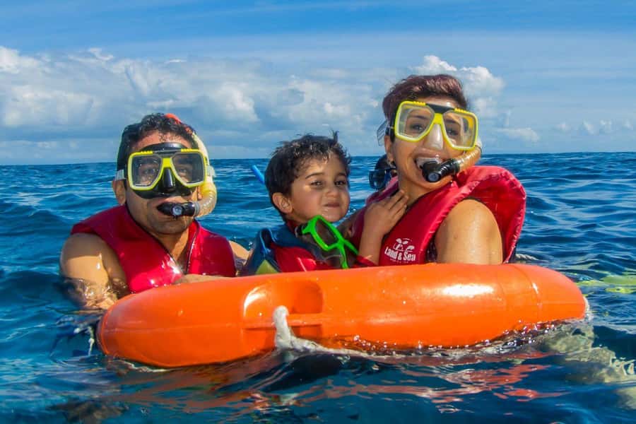 Cairns: Best Value All-inclusive Reef Trip With Scuba Dive - Barbecue lunch and a proper break from the water
