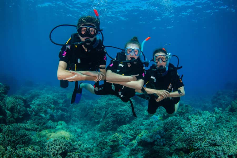 Cairns: Best Value All-inclusive Reef Trip With Scuba Dive - The second reef site and optional extra scuba