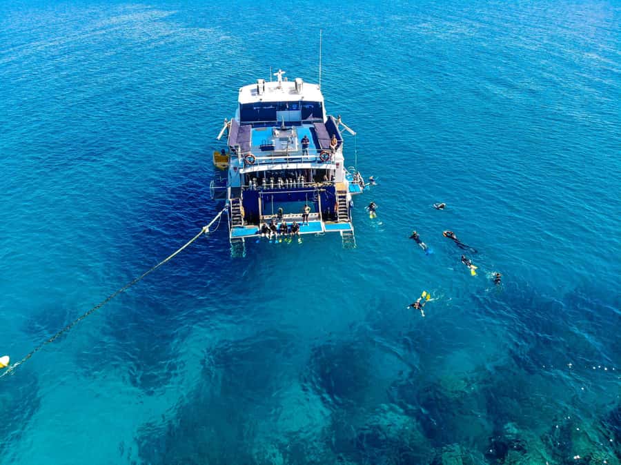 Cairns: Best Value All-inclusive Reef Trip With Scuba Dive - The ride home, wine, and cheese