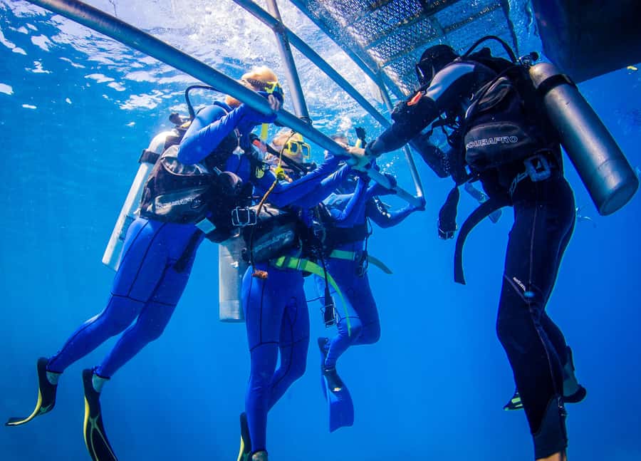 Cairns: Best Value All-inclusive Reef Trip With Scuba Dive - What the $184 price really covers