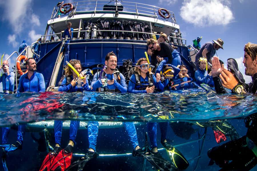 Cairns: Best Value All-inclusive Reef Trip With Scuba Dive - From your hotel to Marlin Marina