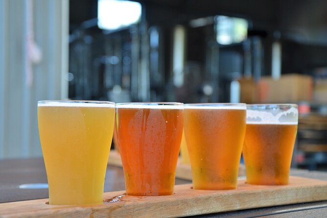 Cairns Brewery Tours - Who will enjoy this Cairns afternoon most