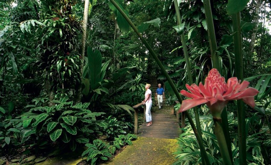 Cairns: Cairns City Sights & Surrounds Half Day Tour - Palm Cove as the final stop