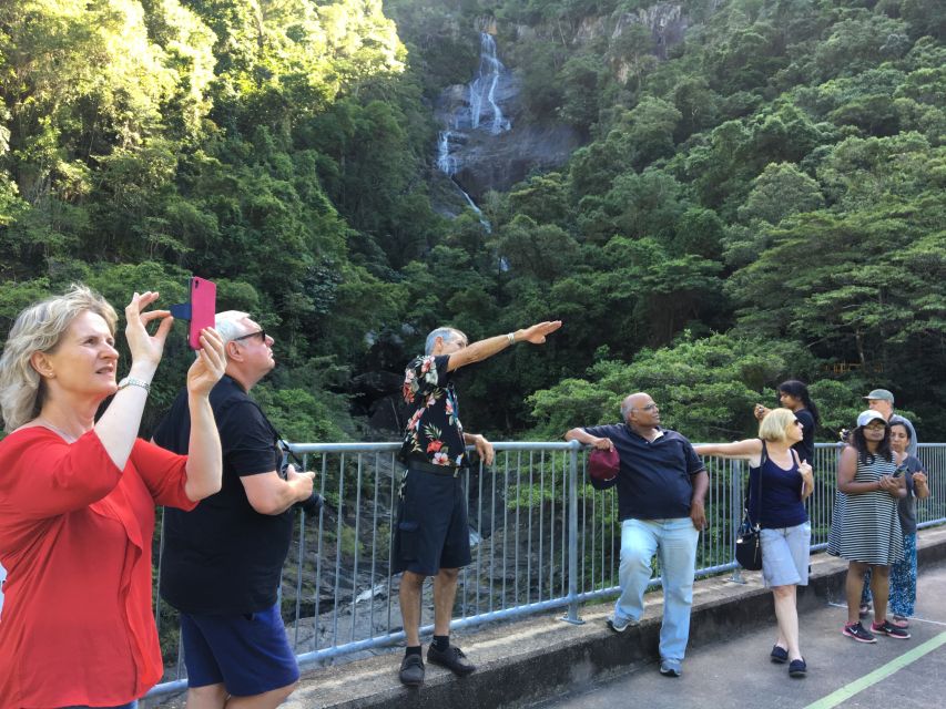 Cairns: Cairns City Sights & Surrounds Half Day Tour - How the timing and transport affect the day