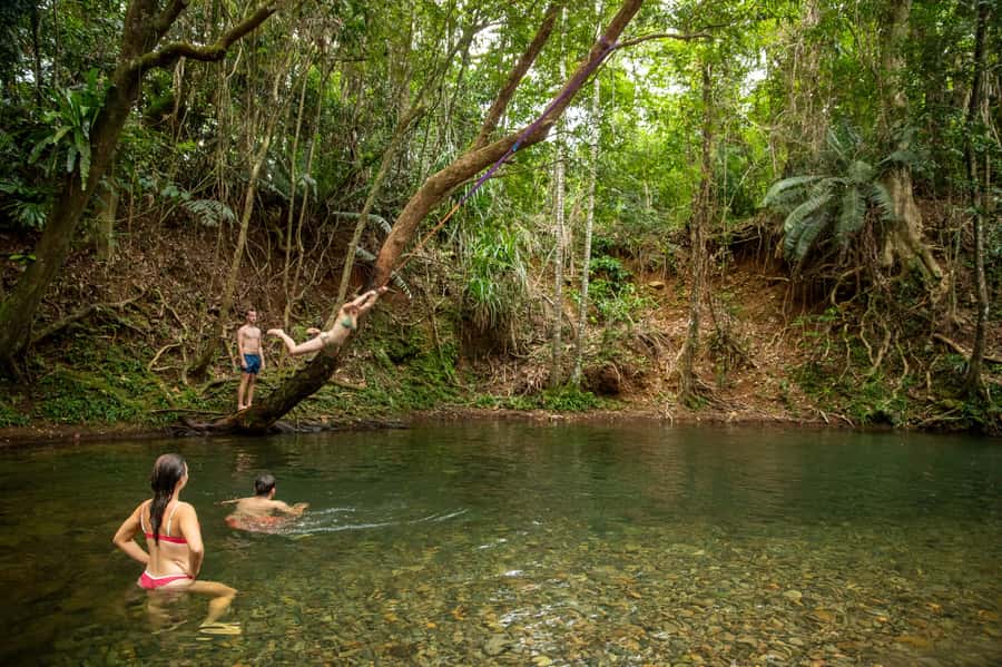 Cairns: Cape Tribulation, Beaches, Crocs & Swimming Day Tour - Why this Cape Tribulation day works