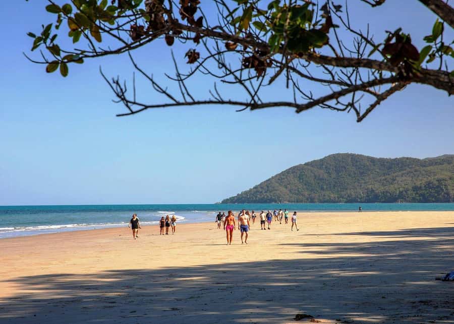 Cairns: Cape Tribulation, Beaches, Crocs & Swimming Day Tour - Cooling off in a rainforest creek
