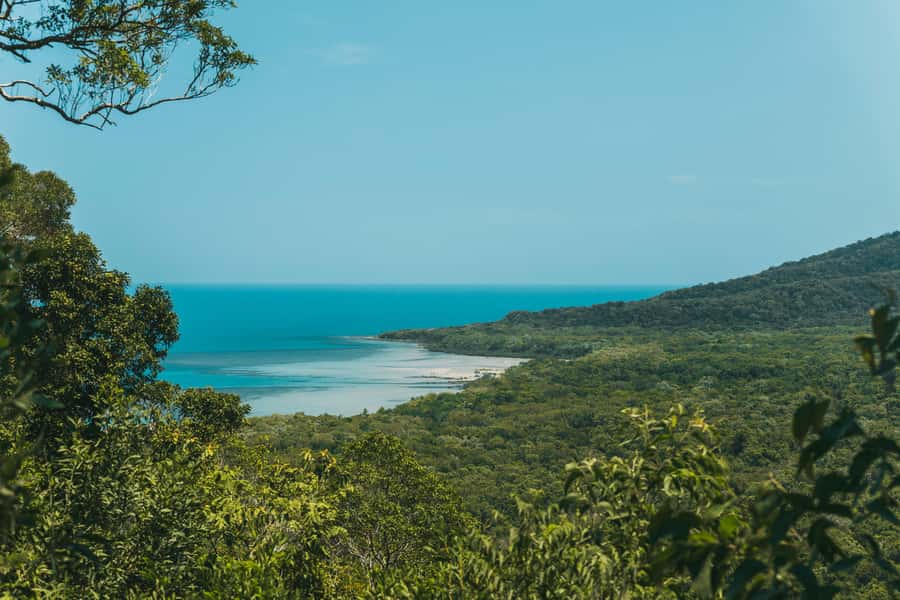 Cairns: Cape Tribulation, Daintree, Mossman and Port Douglas - Key points to know before booking