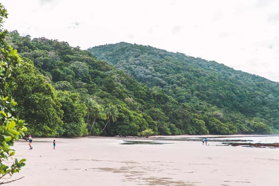 Cairns: Cape Tribulation, Daintree, Mossman and Port Douglas - Mossman Gorge: granite, clear water and a possible swim
