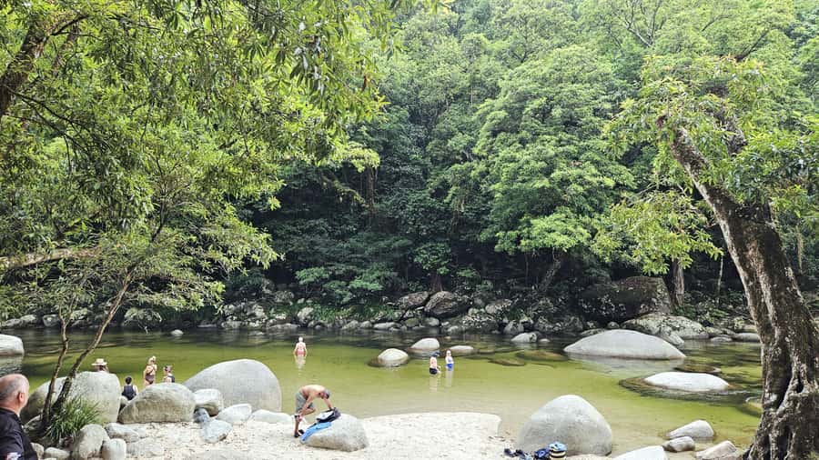 Cairns: Cape Tribulation, Daintree, Mossman and Port Douglas - Crossing into the ancient Daintree Rainforest