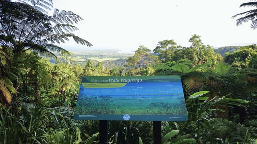 Cairns: Daintree, Mossman Gorge, & Cape Tribulation Day Trip - Key points at a glance