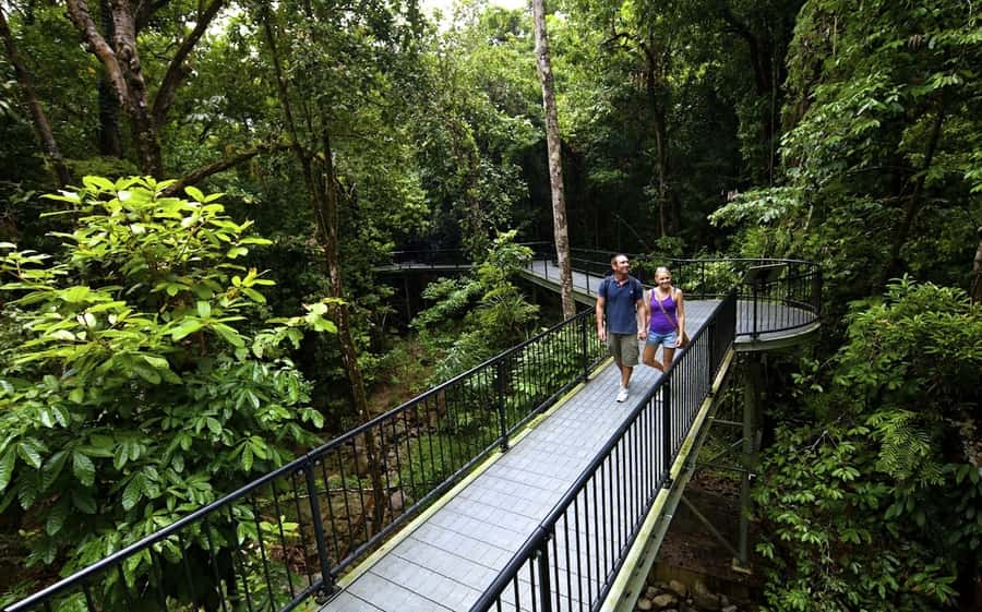Cairns: Daintree, Mossman Gorge, & Cape Tribulation Day Trip - Why this Daintree day trip works so well