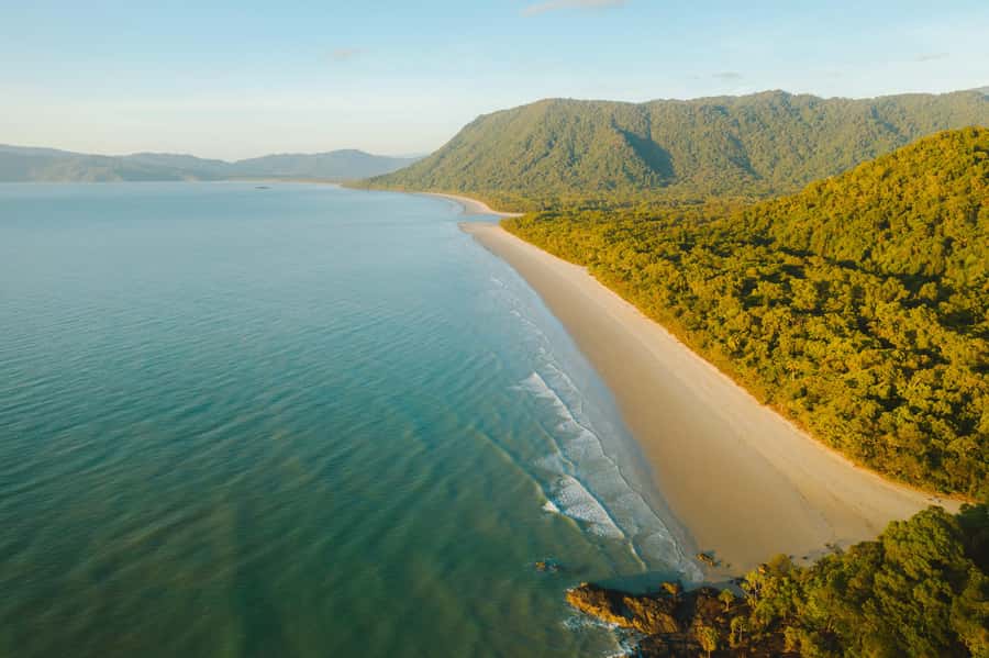 Cairns: Daintree, Mossman Gorge, & Cape Tribulation Day Trip - The coastal road from Cairns to Mossman Gorge