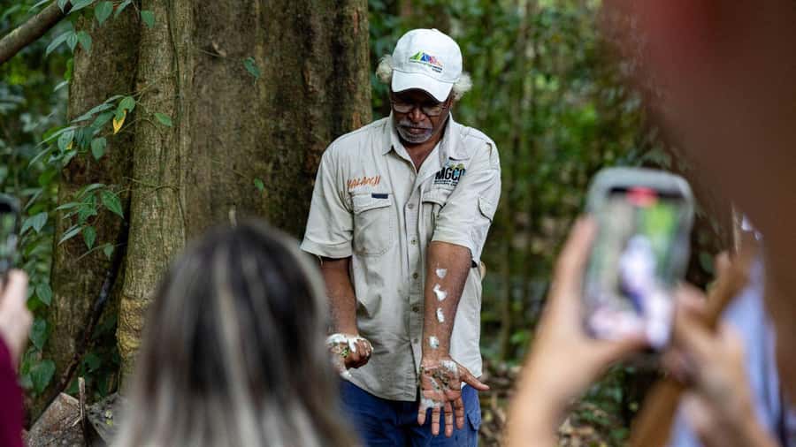 Cairns: Daintree Rainforest and Mossman Gorge Tour - Why this Cairns day trip covers so much