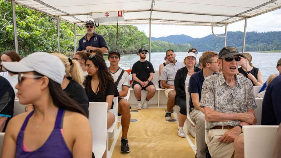 Cairns: Daintree Rainforest and Mossman Gorge Tour - The rainforest walk and the value of a good guide