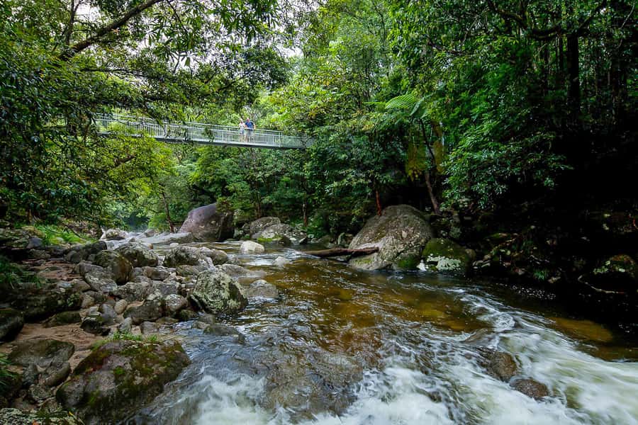 Cairns: Daintree Rainforest and Mossman Gorge Tour - The Daintree Ice Cream Company stop