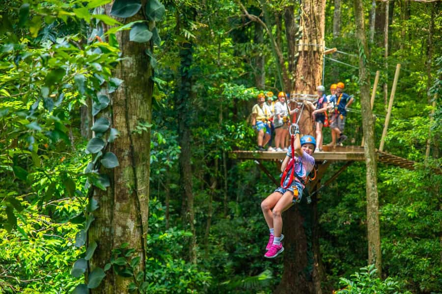 Cairns: Daintree Rainforest Canopy Ziplining Tour - Finishing on the dual zipline