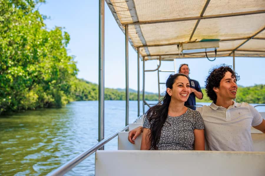 Cairns: Daintree Rainforest & Cape Tribulation Day Trip - Key points at a glance