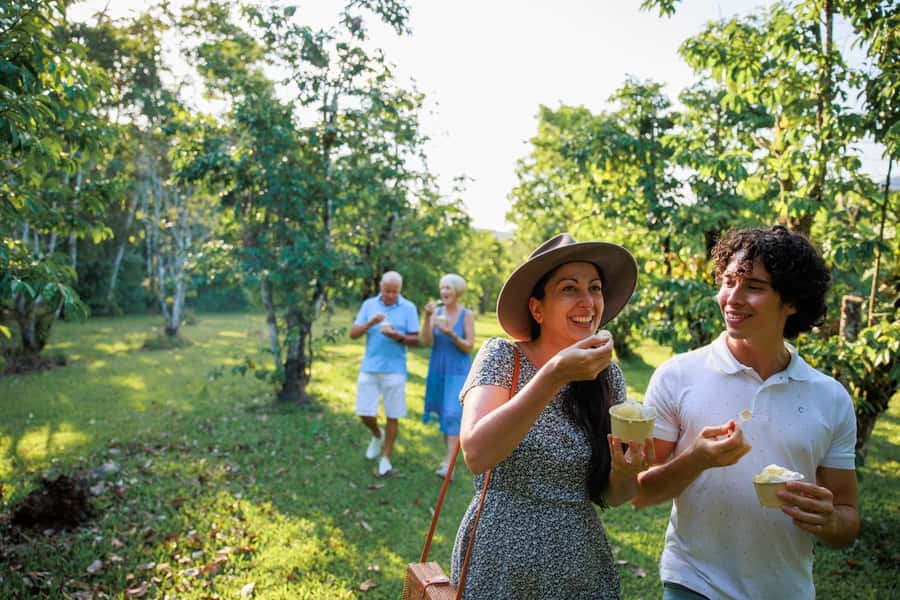 Cairns: Daintree Rainforest & Cape Tribulation Day Trip - Mossman Gorge and morning tea in the forest