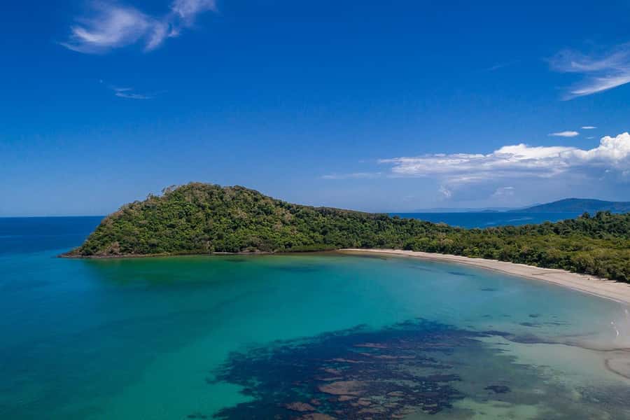 Cairns: Daintree Rainforest & Cape Tribulation Day Trip - One hour looking for crocodiles on the Daintree River