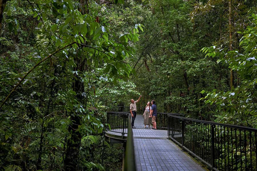 Cairns: Daintree Rainforest & Cape Tribulation Day Trip - Is $207 good value?