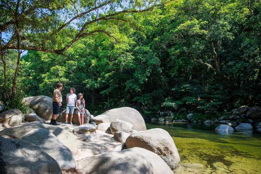 Cairns: Daintree Rainforest & Cape Tribulation Day Trip - The early start from Cairns, Palm Cove or Port Douglas
